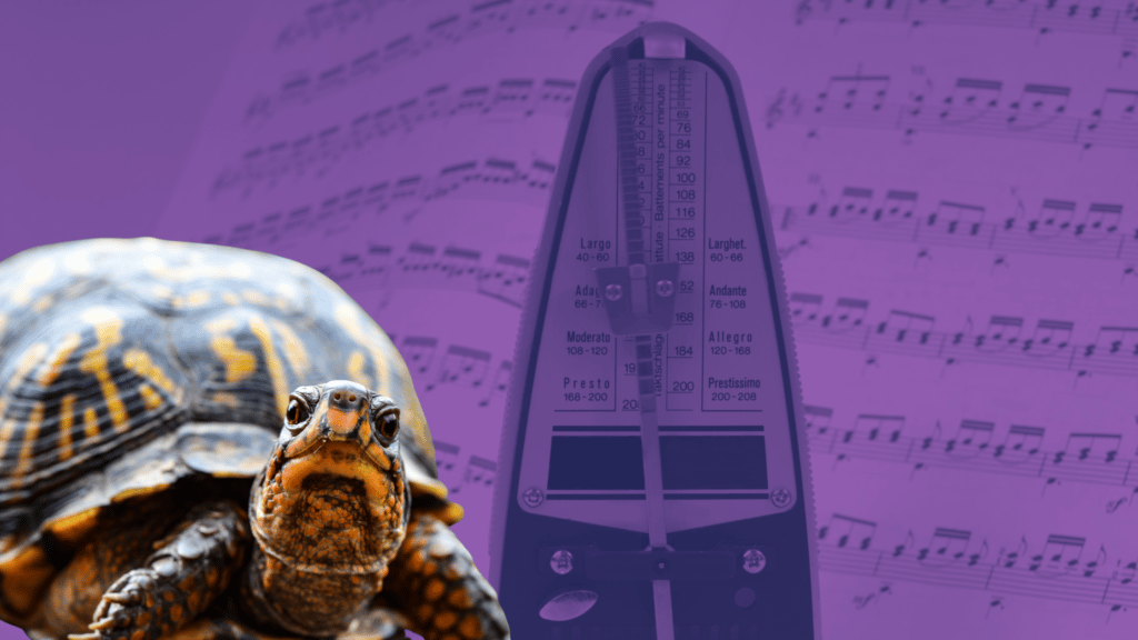 Metronome with sheet music and a turtle