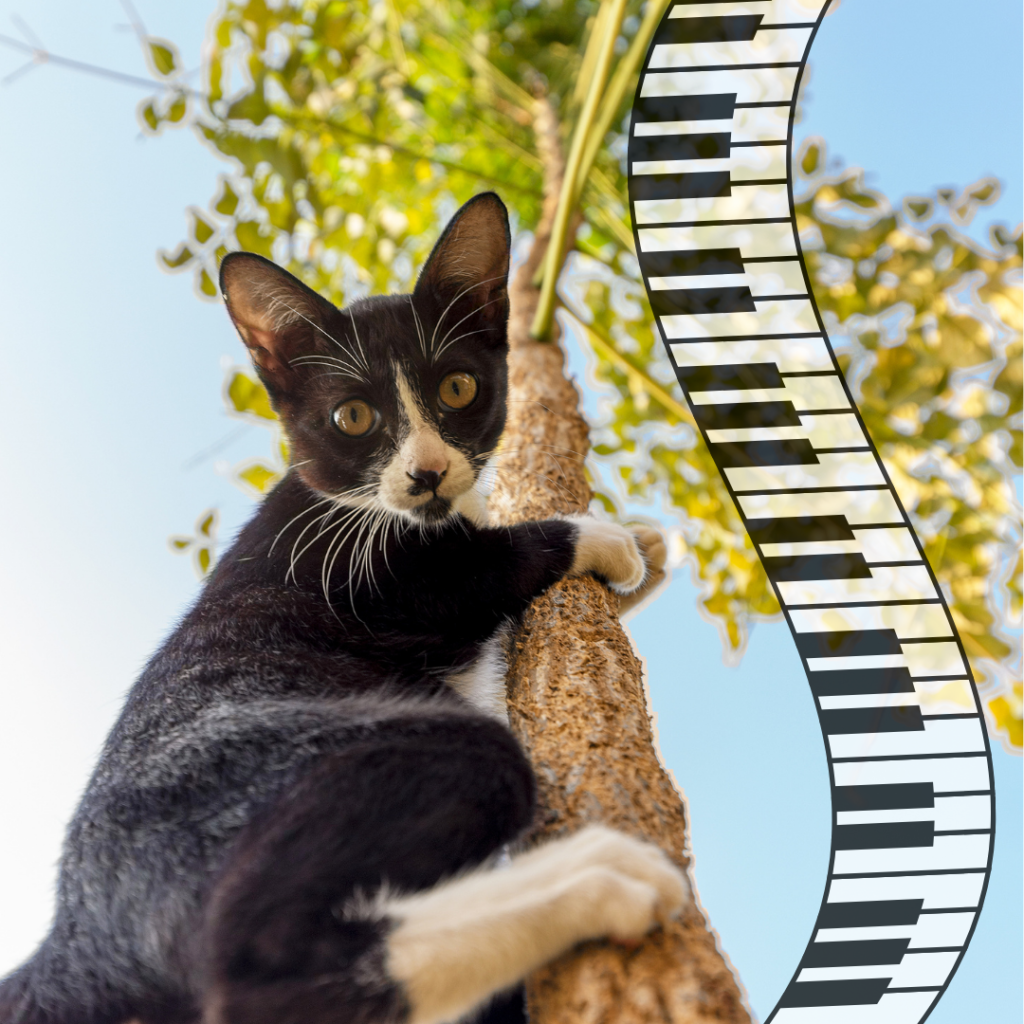 A cat climbing a piano tree