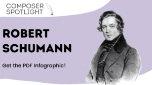 Schumann Infographic